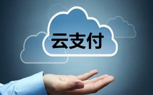 上海某物联网云支付管理系统建设项目股权融资